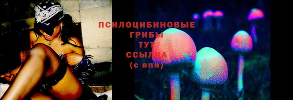 a pvp Апатиты