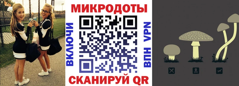 kraken ТОР  Малаховка  Галлюциногенные грибы MAGIC MUSHROOMS 